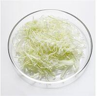 WEIßKOHL, FEIN 2MM, 1 KG / BTL